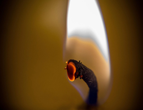 Carrying the Light of Christ