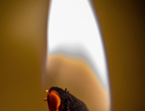 Carrying the Light of Christ